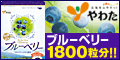 北の国から届いたブルーベリー