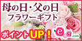 e87.com(千趣会 イイハナ)